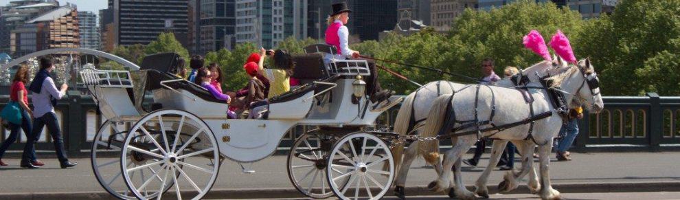 Melbourne City Tours Horse And Cart Melbourne City Tours Horse And Cart
