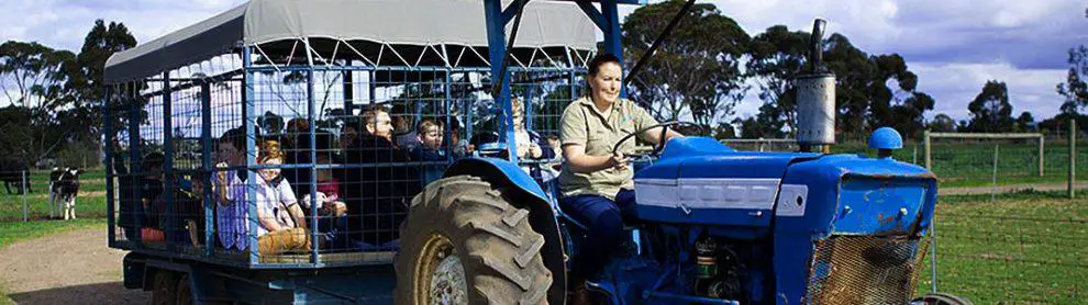 Animal Land Childrens Farm