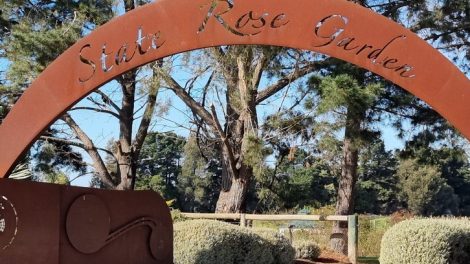 Victoria State Rose Garden 001