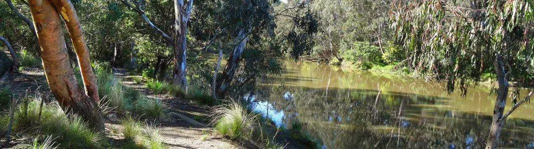 Top 7 Public Parks In Melbourne