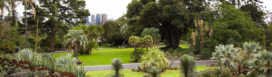 Top 7 Public Parks In Melbourne