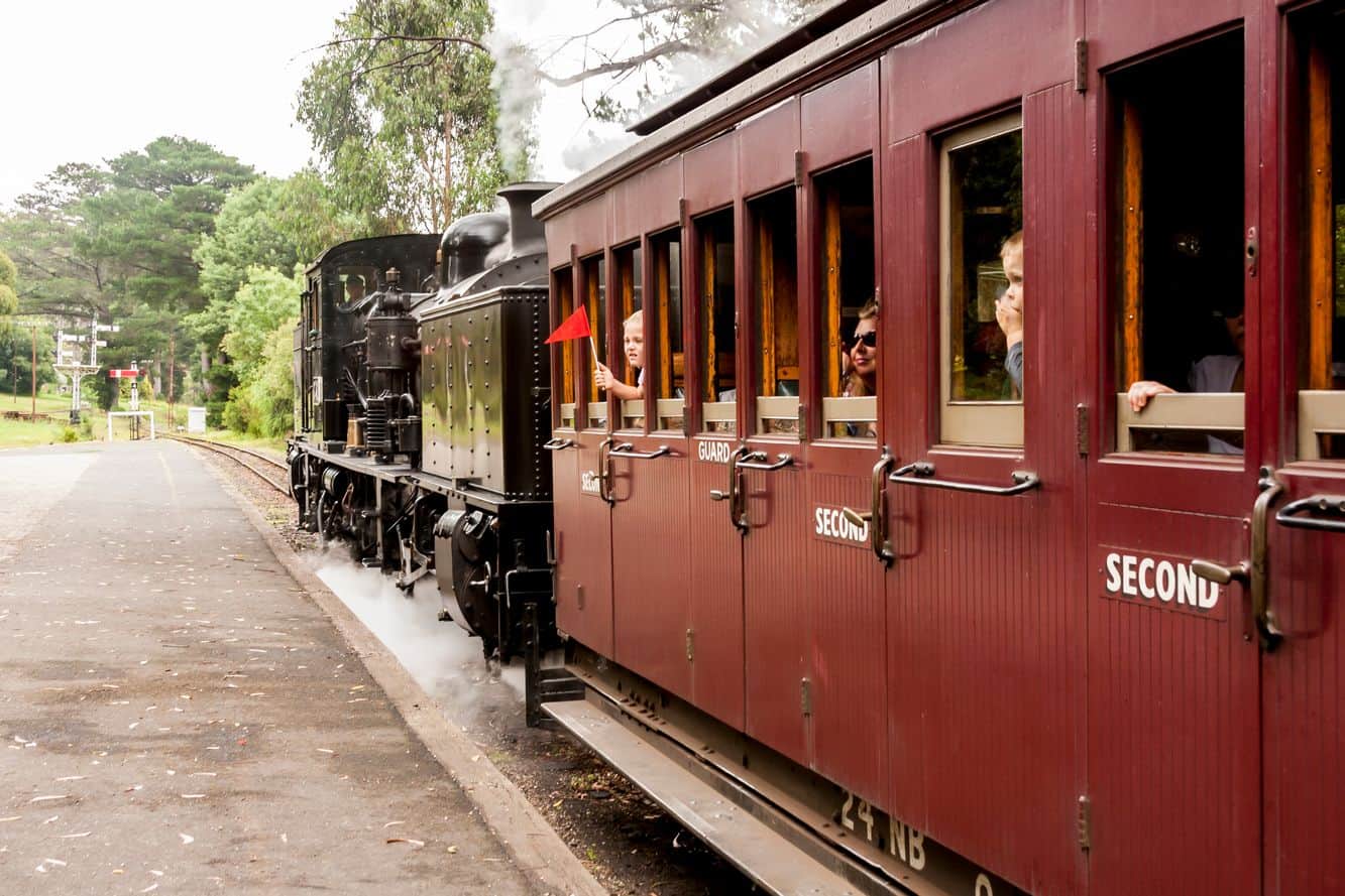 puffing billy bus tour