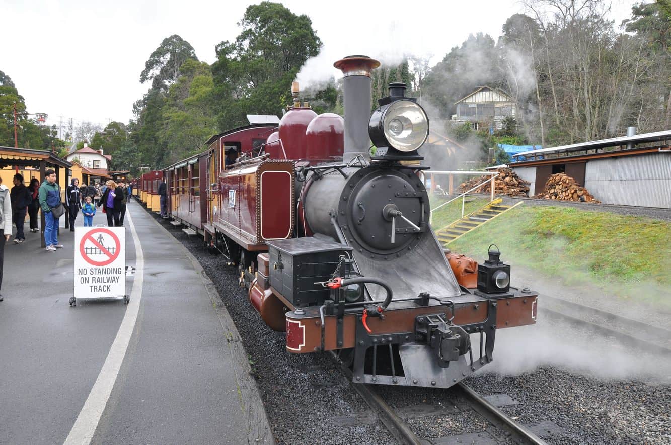 puffing billy bus tour