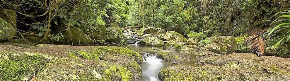 Dandenong Ranges