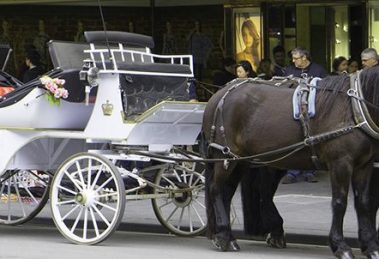 Horse Carriage Tours