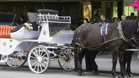 Horse Carriage Tours