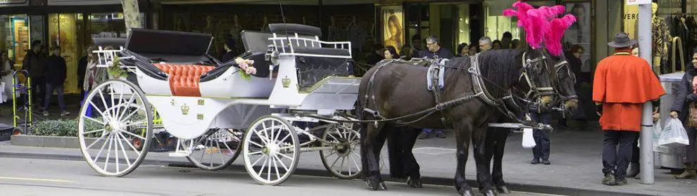 Horse Carriage Tours