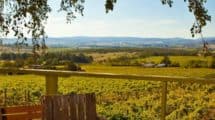 Winery Tours