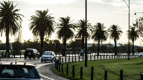 Albert Park