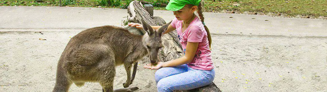 7 Best Family-friendly Attractions In Melbourne That Your Kids Will Love