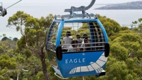 Arthurs Seat Eagle