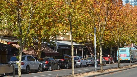 Lygon Street, Carlton