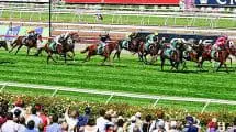 Stakes Day