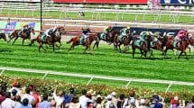 Stakes Day