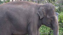 Melbourne Zoo 202
