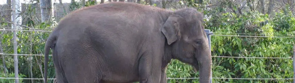 Melbourne Zoo 202
