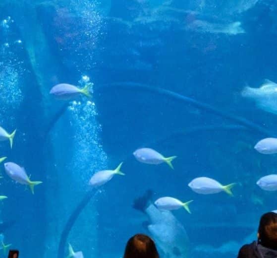 Fun Things & What to Do in the City - Melbourne CBD ...