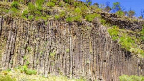 Organ Pipes National Park