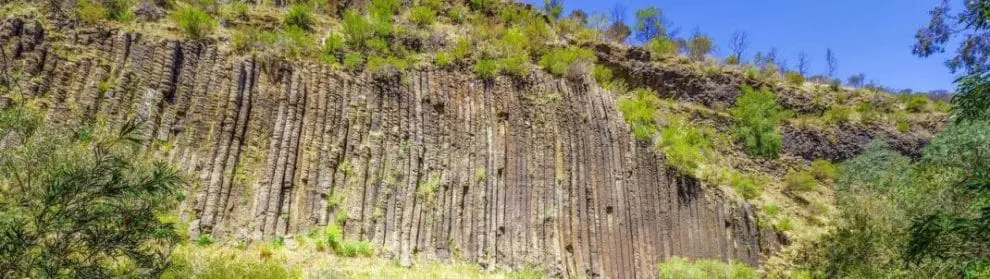 Organ Pipes National Park