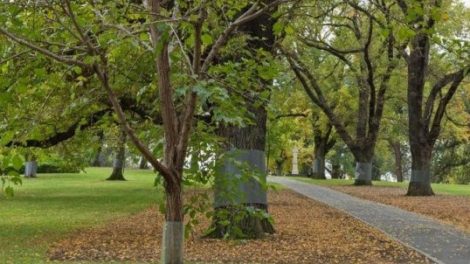 Flagstaff Gardens