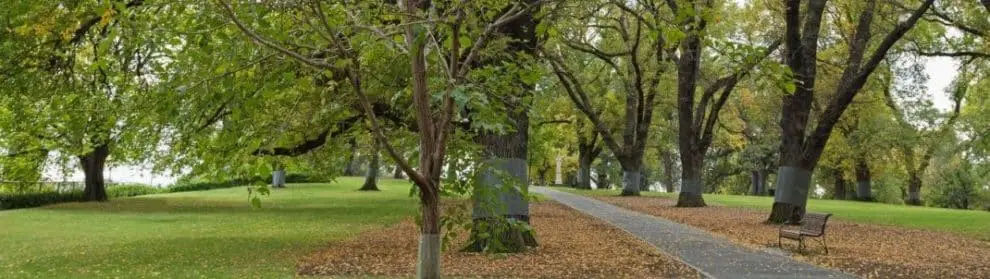 Flagstaff Gardens