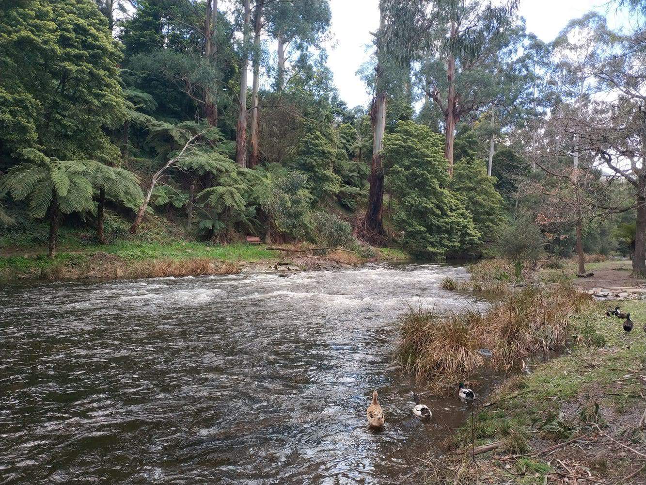 Yarra River - Melbourne History & Bike Trail Map