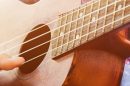 Melbourne Ukulele Festival