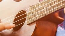 Melbourne Ukulele Festival