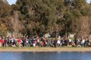 Rspca Million Paws Walk