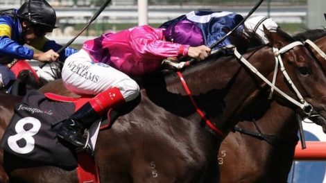 The Spring Racing Carnival