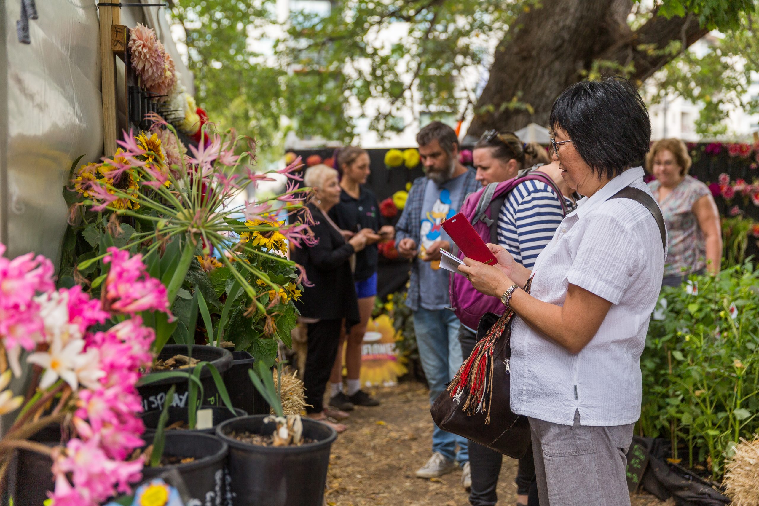 Melbourne International Flower & Garden Show MIFGS 2024 Date & Tickets