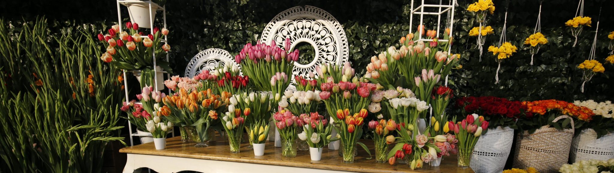 Melbourne International Flower & Garden Show MIFGS 2024 Date & Tickets